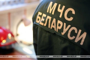 Если ребенок потерялся в лесу: рекомендации родителям