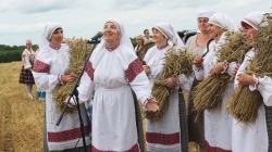 В понедельник, 7 августа, на Сенненщине официально началась жатва