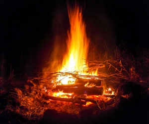 <p>Основные
правила при разведении костров, сжигании мусора, использования приспособлений
для приготовления пищи</p>