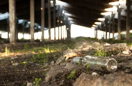 Безделью и алкоголизму на селе не место!