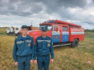Ратавальнікі Сенненшчыны ўдзельнічаюць ва ўборачнай кампаніі<br />
