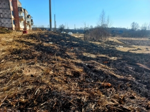 Количество пожаров в весенний пожароопасный период значительно возрастает