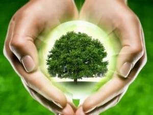 Неделя леса - 2017<br />