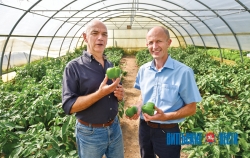 Італьянец вучыць сенненцаў вырошчваць гародніну ў пластыку і дапамагае сіротам <br />