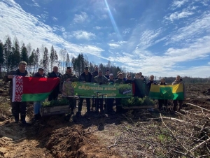На участке в Обольском лесничестве проходит акция во главе с председателем райисполкома Олегом Макаревичем и председателем рай Совета Михаилом Вилюго