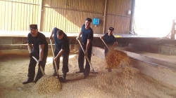 Следователи Сенненского района помогли аграриям с отгрузкой зерновых<br />