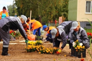 Лучшую цветочную композицию в Витебской области создали работники Городокского предприятия котельных и тепловых сетей