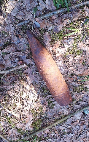 Адгалоскі вайны