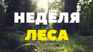 Добровольная акция «Неделя леса - 2018»