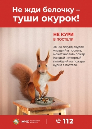 Новая информационно-пропагандистская кампания «Не жди белочку - туши окурок!»