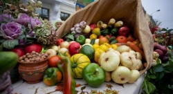 На Віцебшчыне пачаўся сезон восеньскіх кірмашоў па продажы сельскагаспадарчай прадукцыі