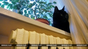 Отопительный сезон завершается в Витебской области