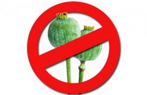 Внимание! Специальная программа «Мак-2018»