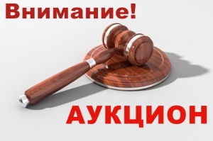 85 лотов выставлены комитетом госимущества Витебского облисполкома 

на аукционы в декабре