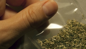 Пік злачынстваў і правапарушэнняў, што ўчыняюцца падлеткамі, прыходзяцца на лета, якое толькі пачалося