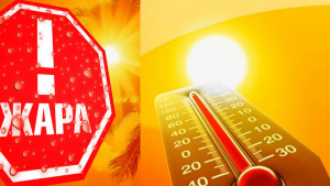 Жаркое лето: будьте осторожны!