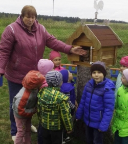 На базе Яновской ДСБШ реализуется инновационный проект «Внедрение модели
 экологического образования в эффективной здоровьесберегающей системе 
образования детей и подростков», рассчитанный на 2016 – 2019 годы