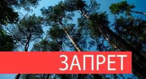 На Сенненщине введён запрет на посещение лесов