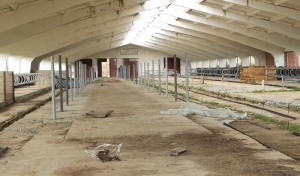 СЛОВА І СПРАВА