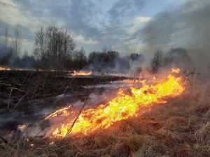 <p>МЧС предупреждает об опасности палов сухой растительности</P>